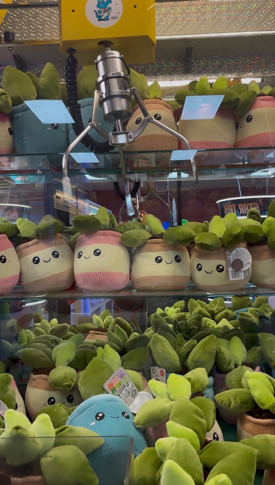 Claw machines at The Fabulous Showboat Arcade